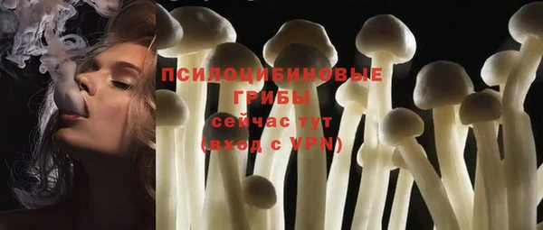 a pvp Мегион