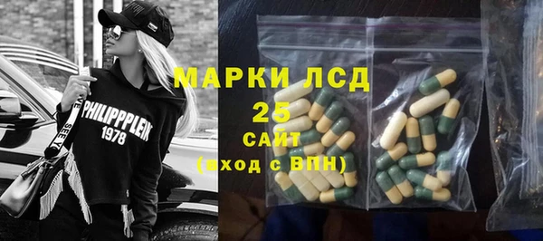 стафф Нестеровская