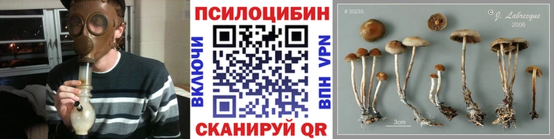 Псилоцибиновые грибы MAGIC MUSHROOMS  hydra ссылки  Зарайск  где найти  